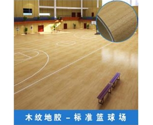 室内篮球场健身房木纹运动地胶