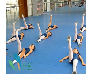 幼儿园专用PVC舞蹈运动地胶